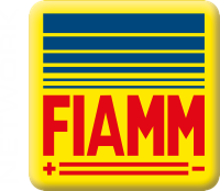 Logo FIAMM Network